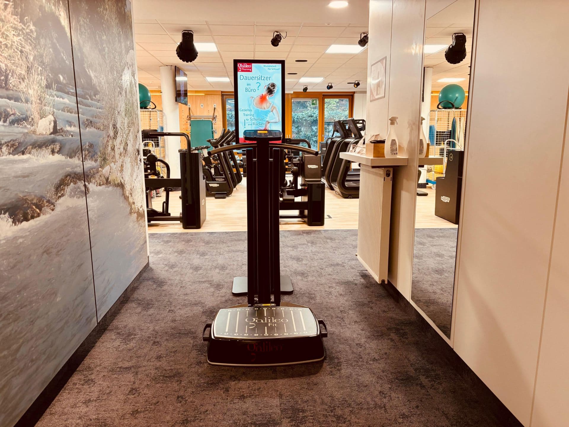 Galileo Vibrationstraining